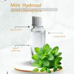 Mint Hydrosol - هايدروسول النعنع